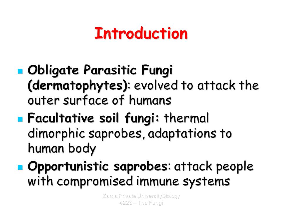 An introduction to parasitic virulence